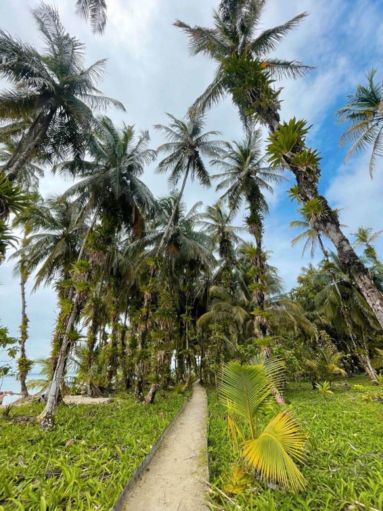 Zapatilla Island solo travel panama where to go