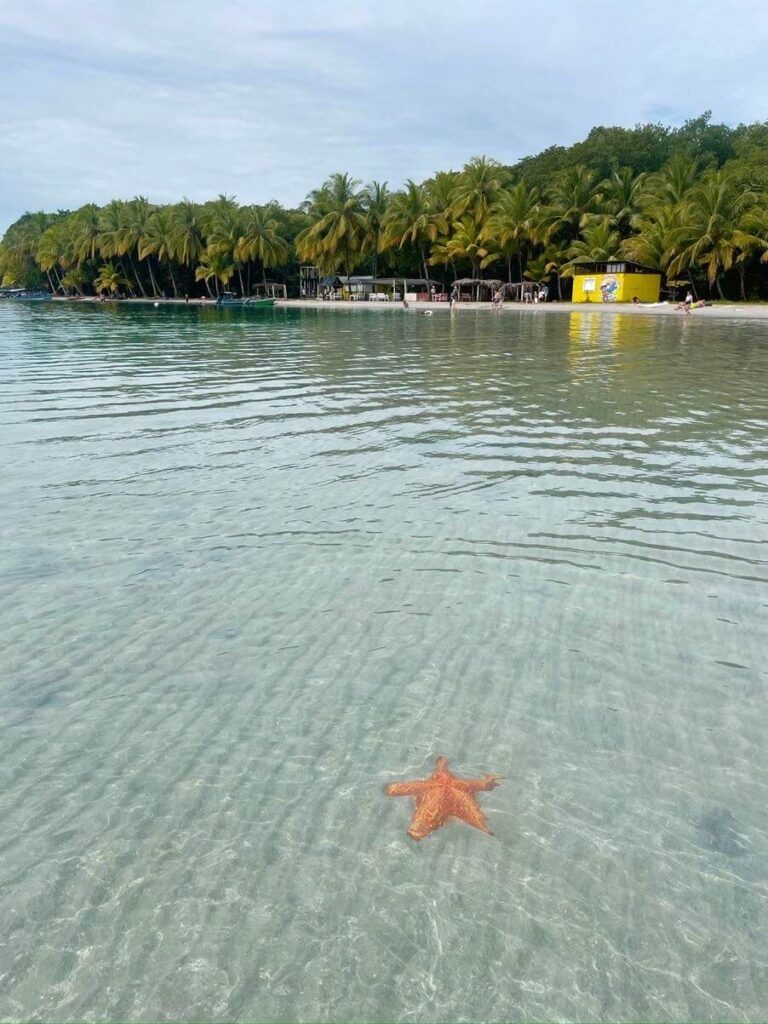 Starfish beach