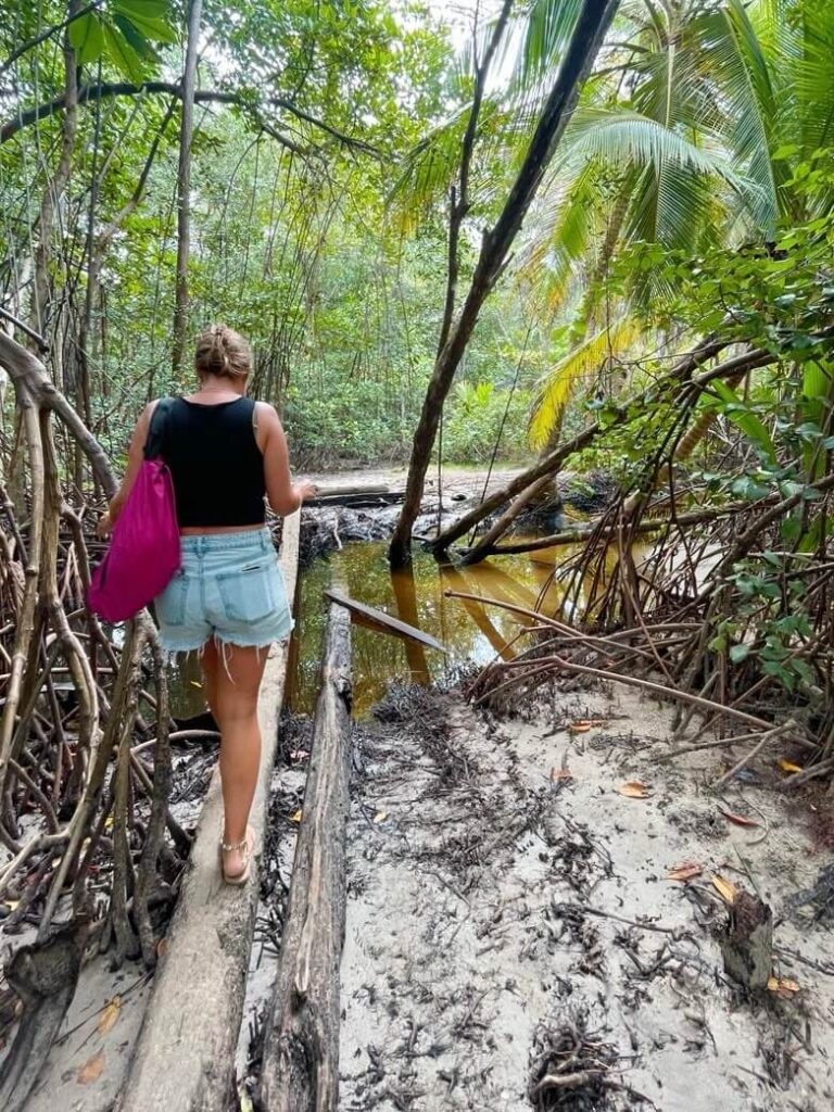 Exploring bocas del toro