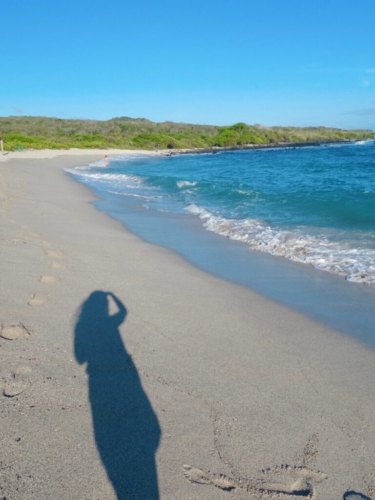 Beach galapagos ecuador solo travel