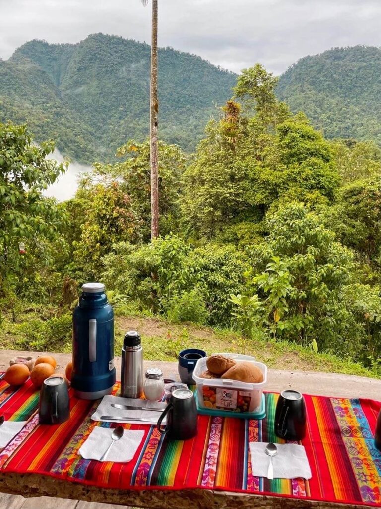 Bird watching breakfast 