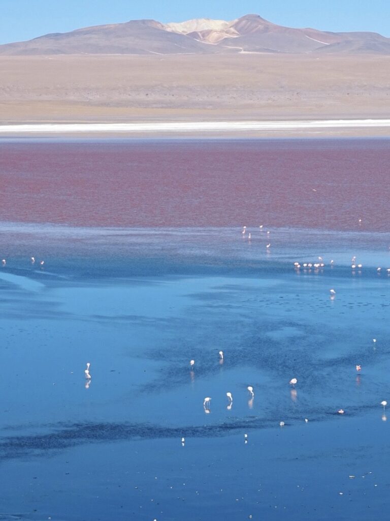 Salt pans pink lake