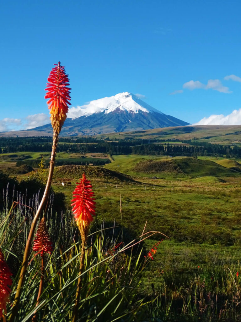 Cotopaxi mountain