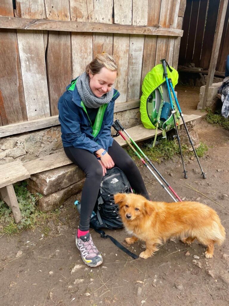 Making friends with a dog