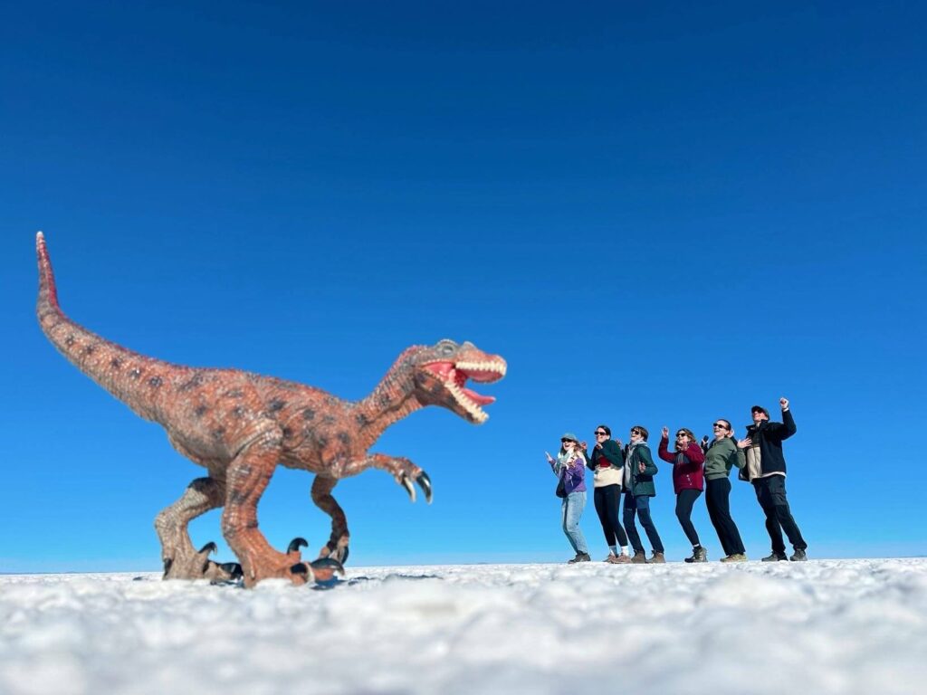 Dinosaur salt flats photos