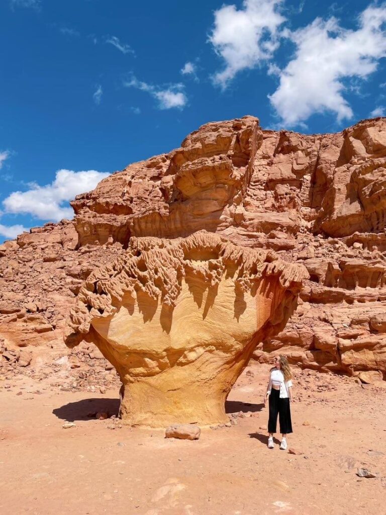 Mushroom rock red canyon